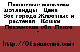 Плюшевые мальчики шотландцы › Цена ­ 500 - Все города Животные и растения » Кошки   . Пензенская обл.,Пенза г.